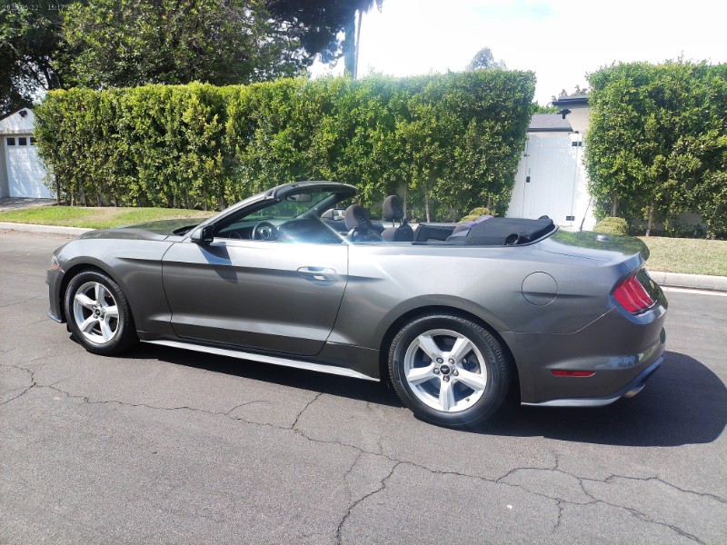 2019 Ford Mustang EcoBoost
