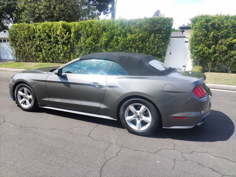 2019 Ford Mustang EcoBoost